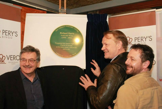 Parnell Plaza Entertainment Venue-利默里克必去景点