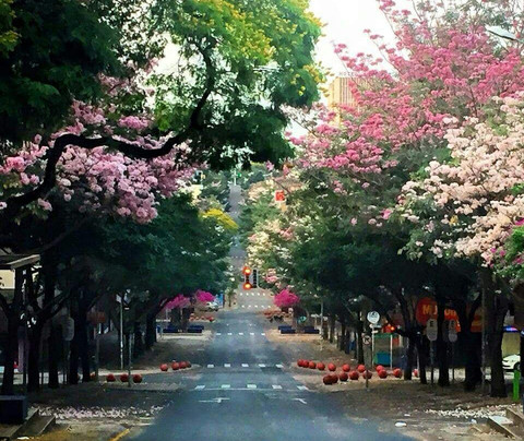 IguFalls Turismo-伊瓜苏必去景点