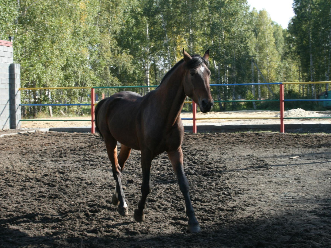 Bystrai-车里雅宾斯克必去景点