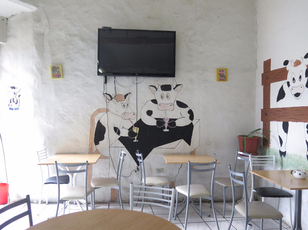Muu Yogurt