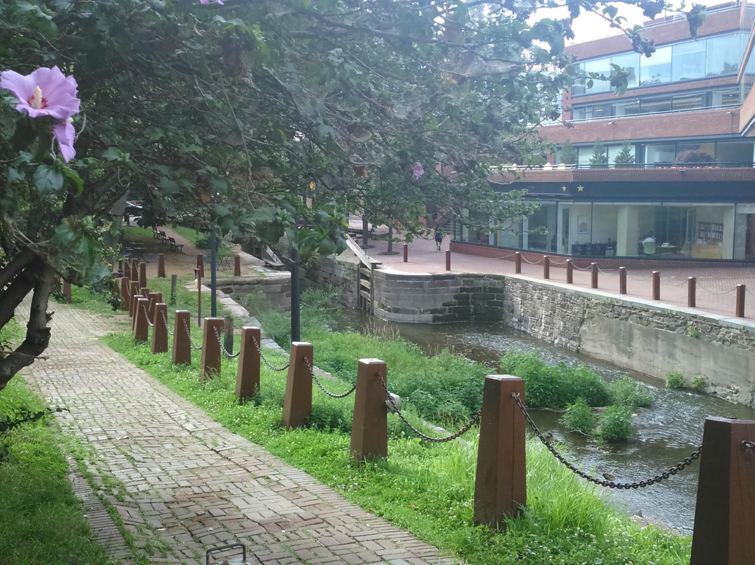 Chesapeake & Ohio Canal National Historical Park-黑格斯敦必去景点