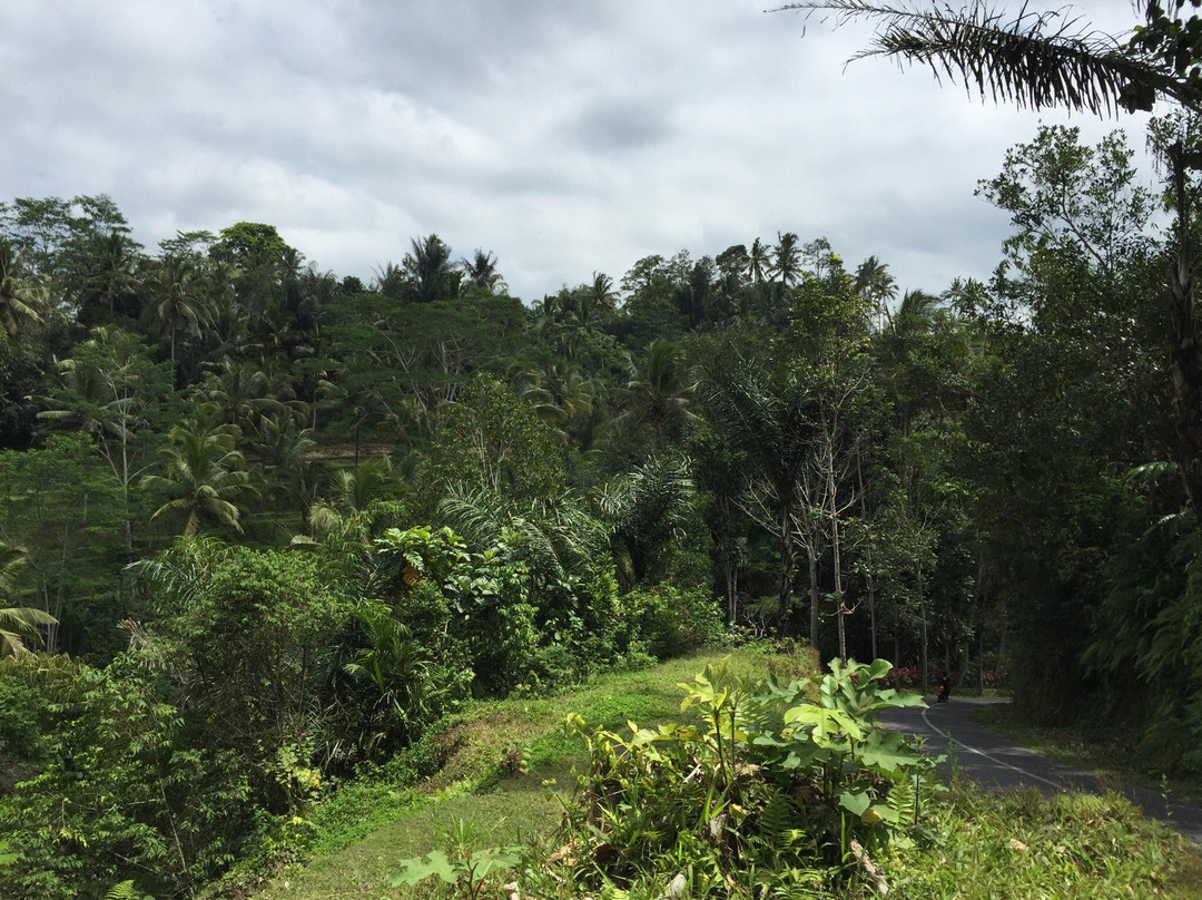 Bali Sunrise Trekking Tour-金塔马尼必去景点