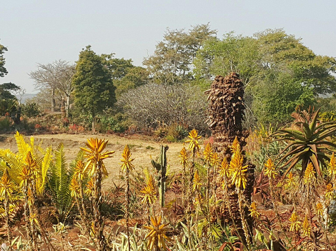 Ewanrigg Botanical Gardens景点图片