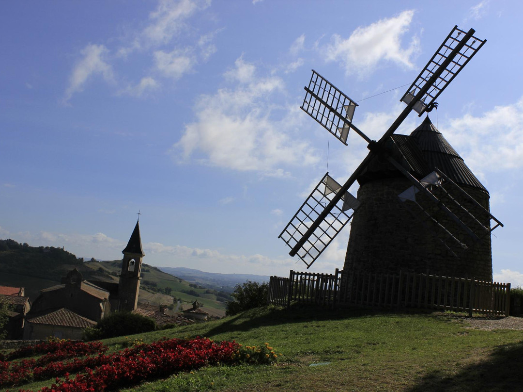 Office de Tourisme du Lautrécois-Pays d'Agout - BIT de Lautrec景点图片