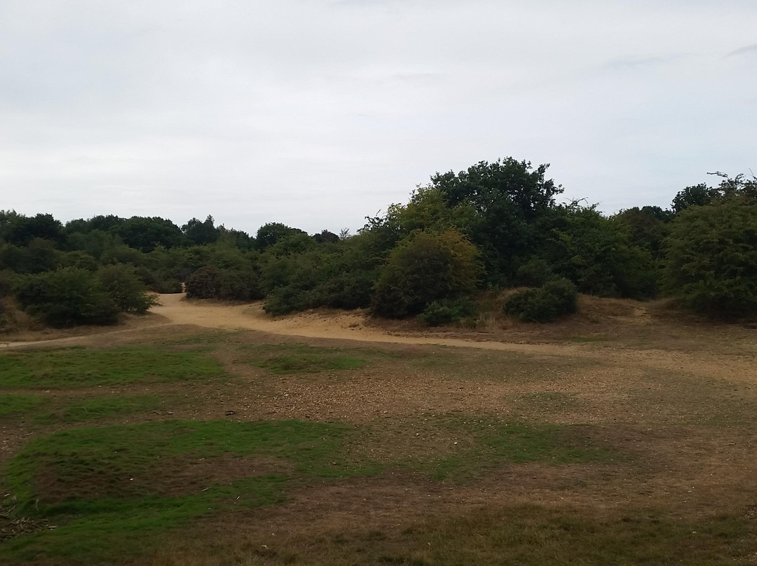 Dartford Heath景点图片
