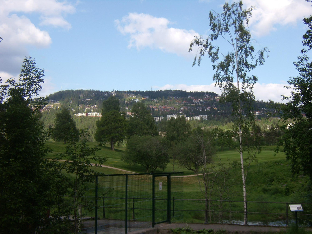 Bogstadvannet Lake-奥斯陆必去景点