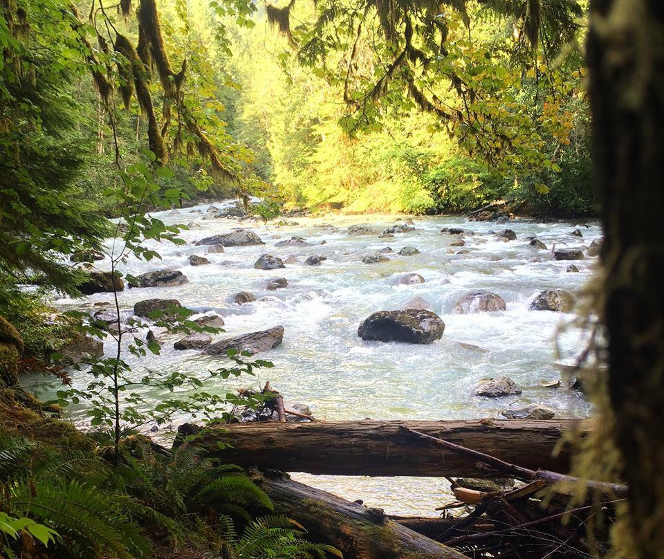 Douglas Fir Campground