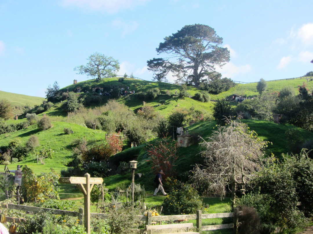 霍比屯电影外景地游览-希努埃拉必去景点