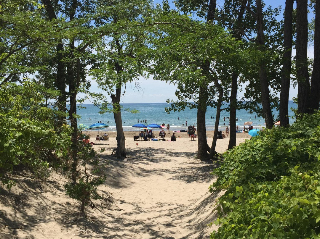 Sandbanks Provincial Park景点图片