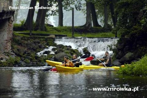 Mrowka - River Kayaking & Rental景点图片