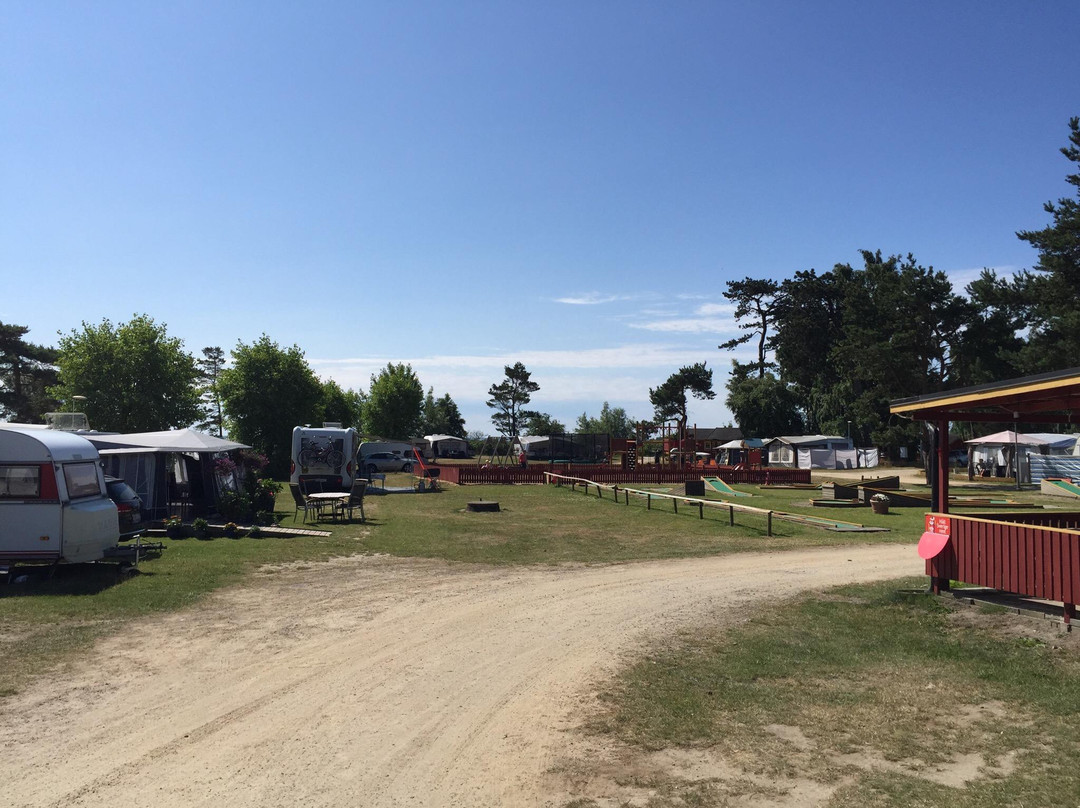 Bingsmarkens Camping