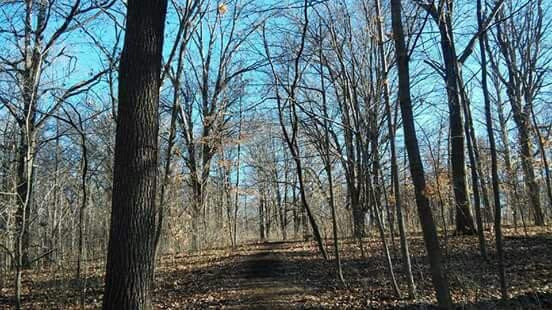 Lincoln Memorial Garden-斯普林菲尔德必去景点
