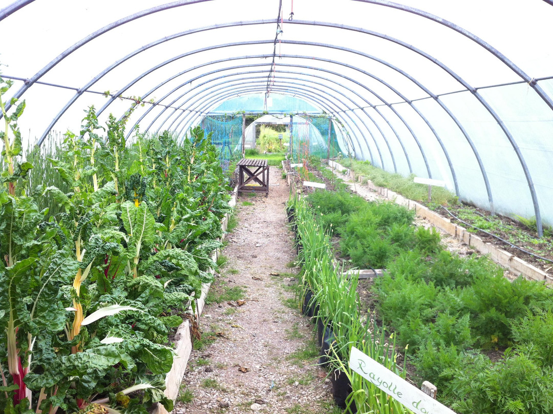 Irish Seed Savers-Scarriff必去景点