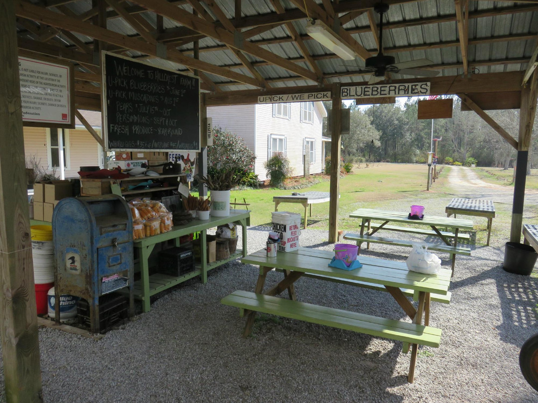 Hillcrest Farm-Elberta必去景点