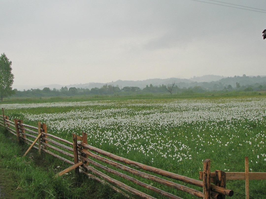Valley of Narcissi Nature Reserve-Kireshi必去景点