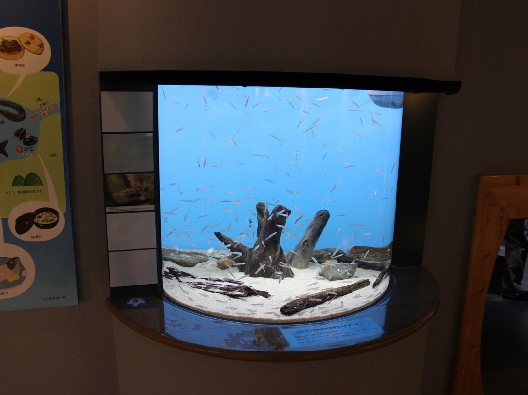 Shinjiko Nature Museum Gobius-出云市必去景点