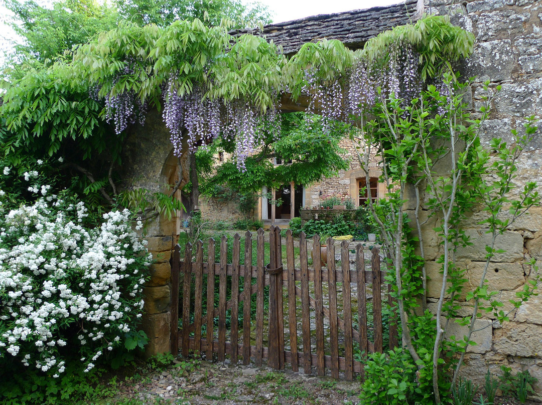 Lasserre Perdissou主图