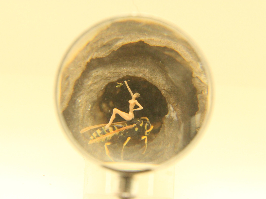 Micro-Gigantic Museum景点图片