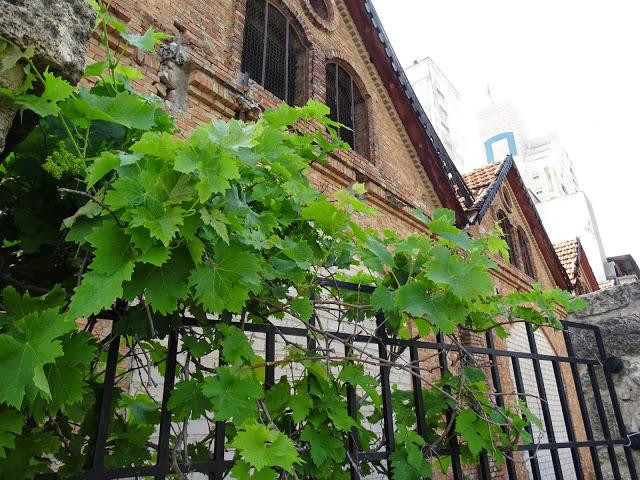 Rishon Le Zion Museum-Rishon Lezion必去景点