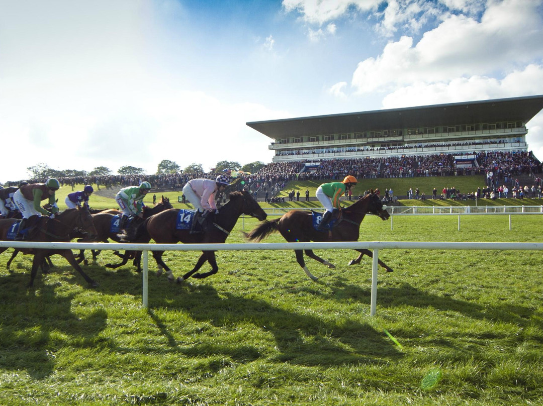 Limerick Racecourse-Patrickswell必去景点