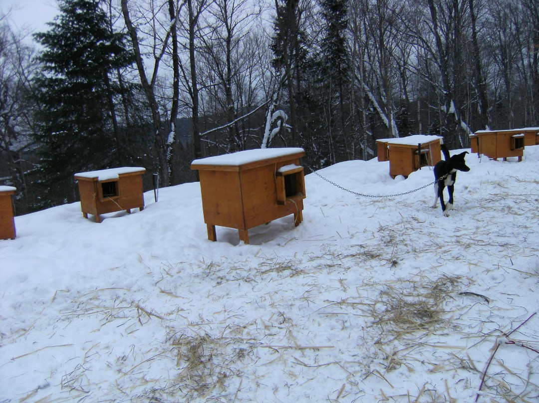 Expéditions Hautes-Laurentides-Riviere-Rouge必去景点