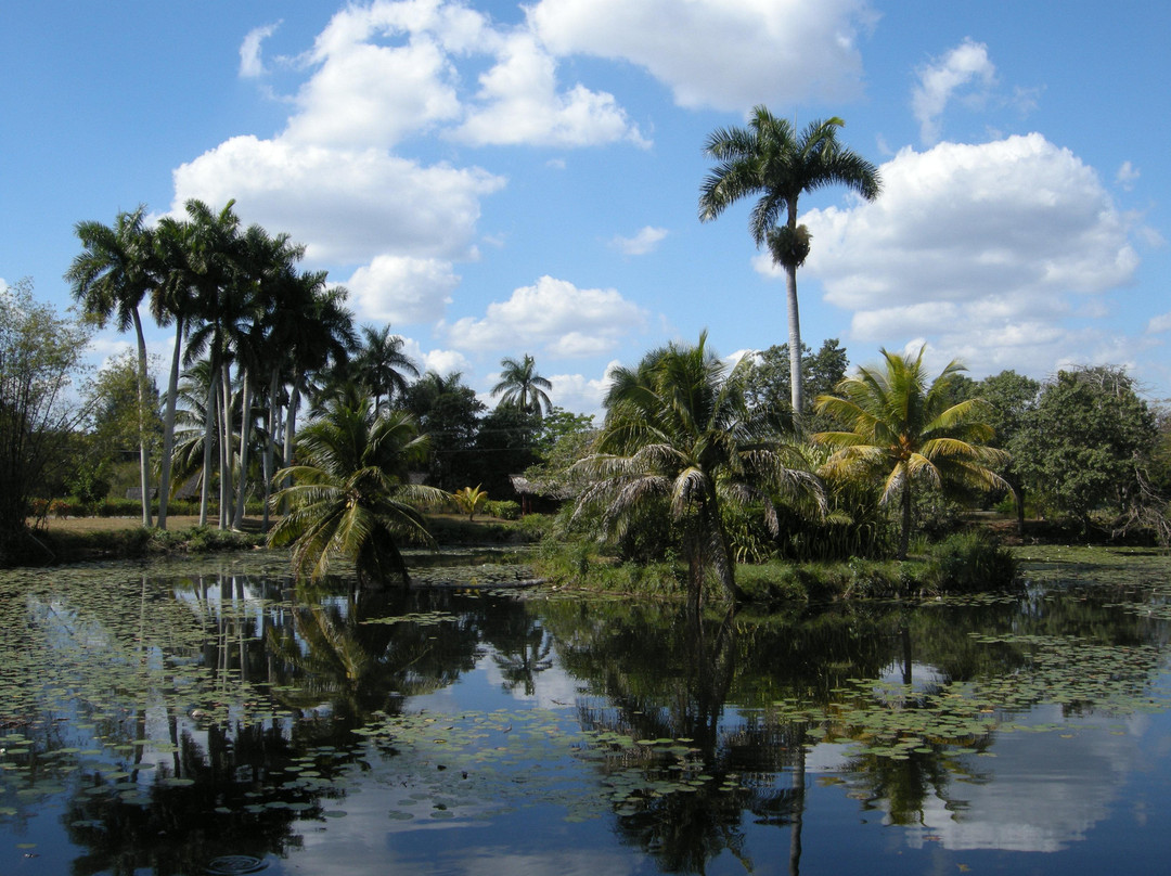 Península de Zapata National Park景点图片