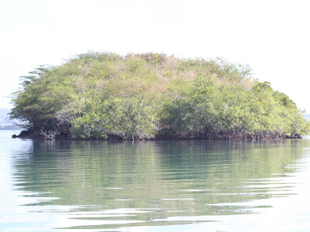 Le Mantou - Ecomer-Trois-Ilets必去景点