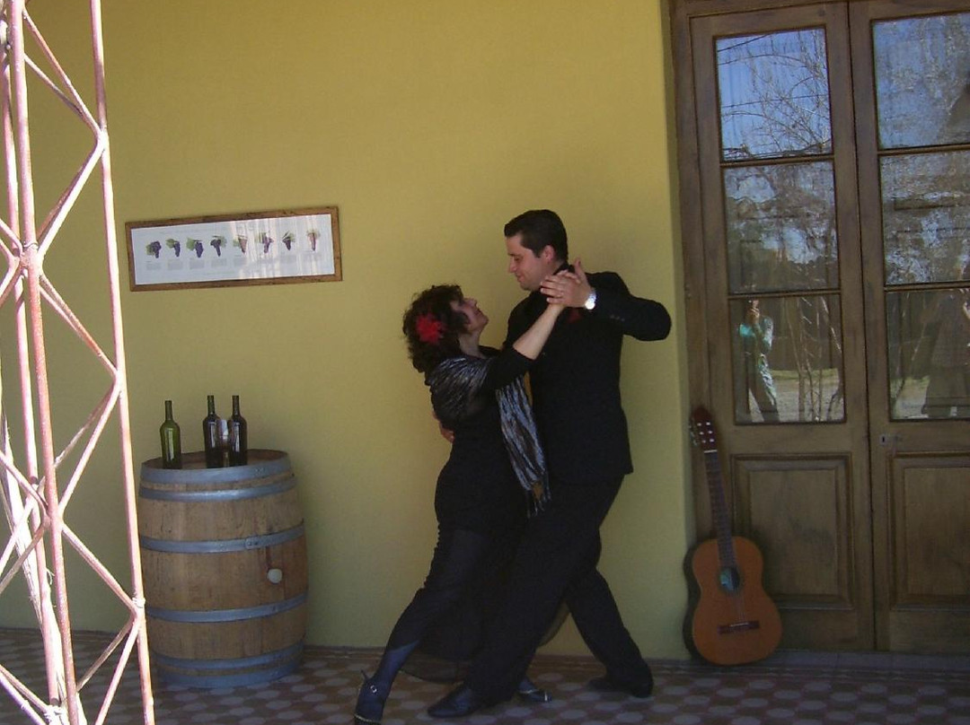 Bodega Stocco de Viani-Maipu必去景点