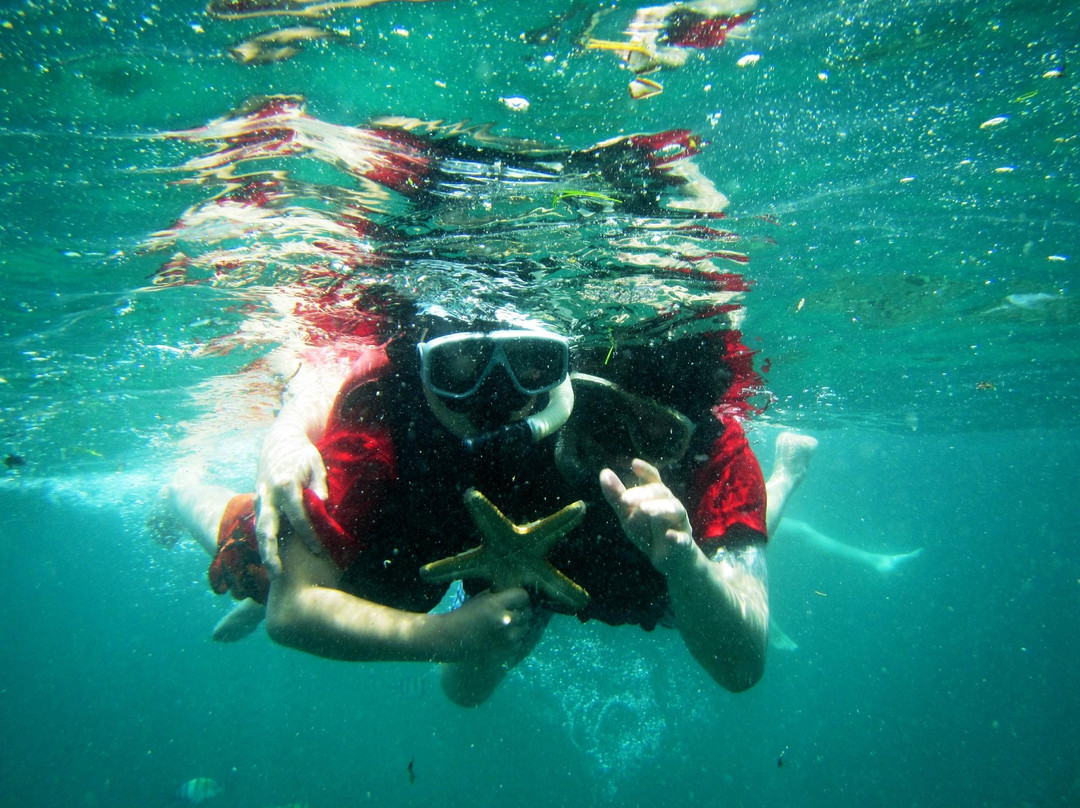 Kusuma Tour - Day Tours-登巴萨必去景点