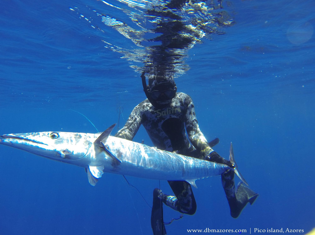 DBM Azores - Sport Fishing Charters-Sao Roque do Pico必去景点