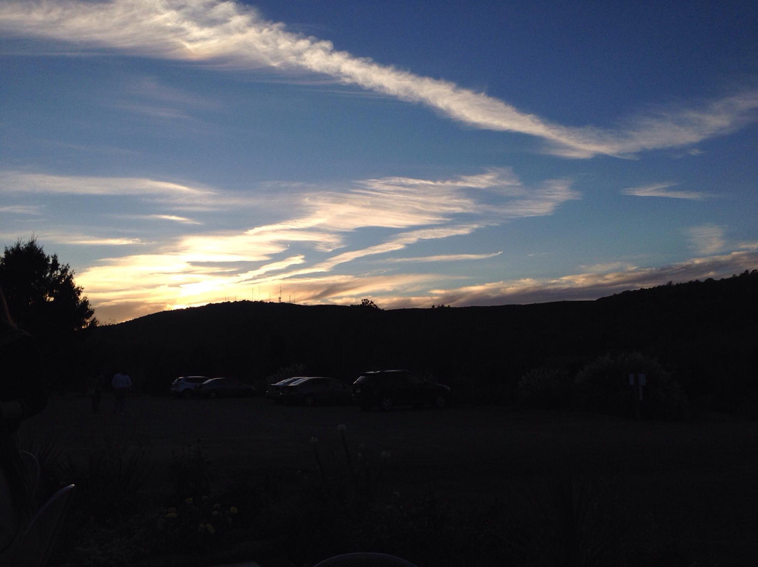 Jefferson Vineyards-夏洛茨维尔必去景点