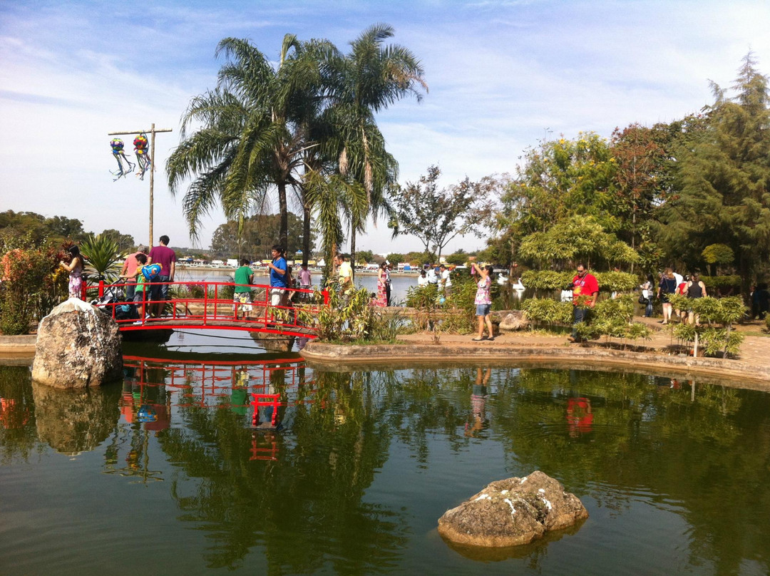 Lago Artificial Prof. J. K. Williams景点图片