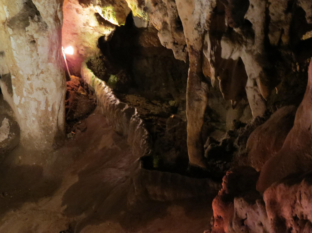 Wondercave景点图片