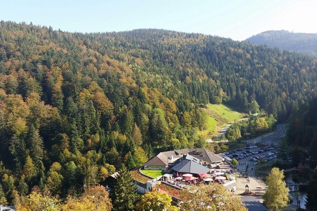 Steinwasen Park-Oberried必去景点