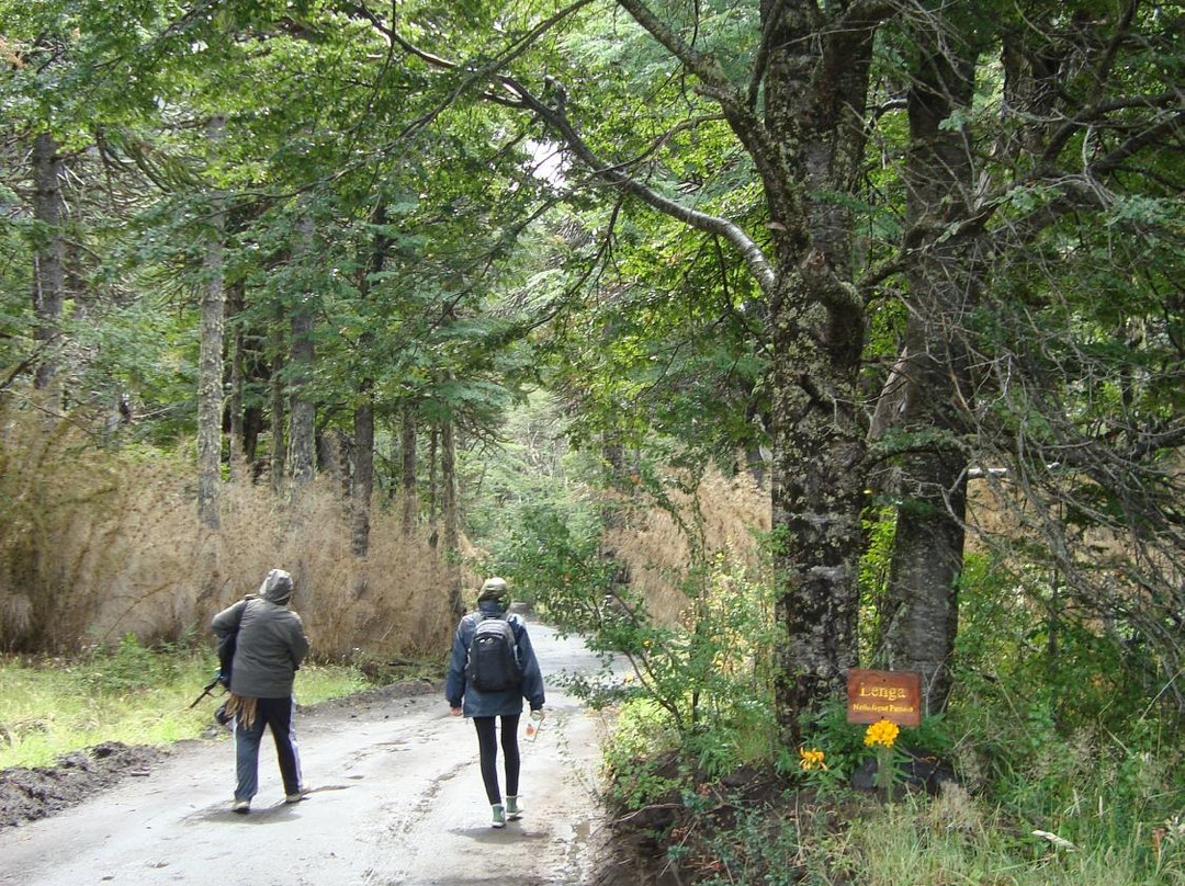 Tromen Lake-Junin de los Andes必去景点