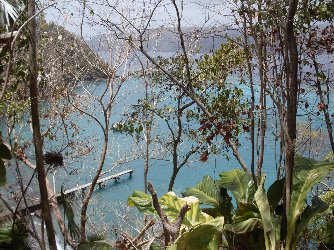 Little Tobago-Northeast Coast必去景点