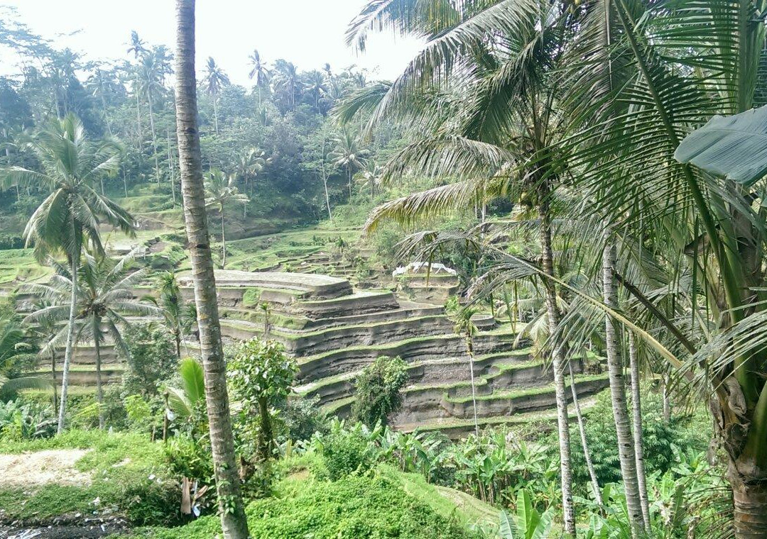 Pantai Gunung Payung-努沙杜瓦必去景点