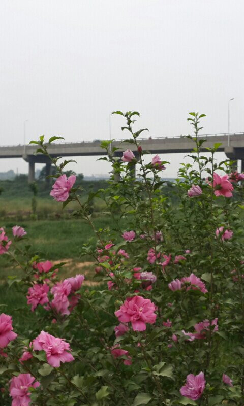 洛埔公园-洛阳市必去景点