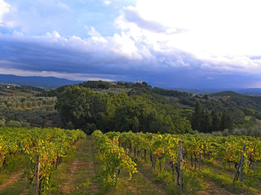 Pieve di Sant'Appiano-巴尔贝里诺瓦尔德尔萨必去景点
