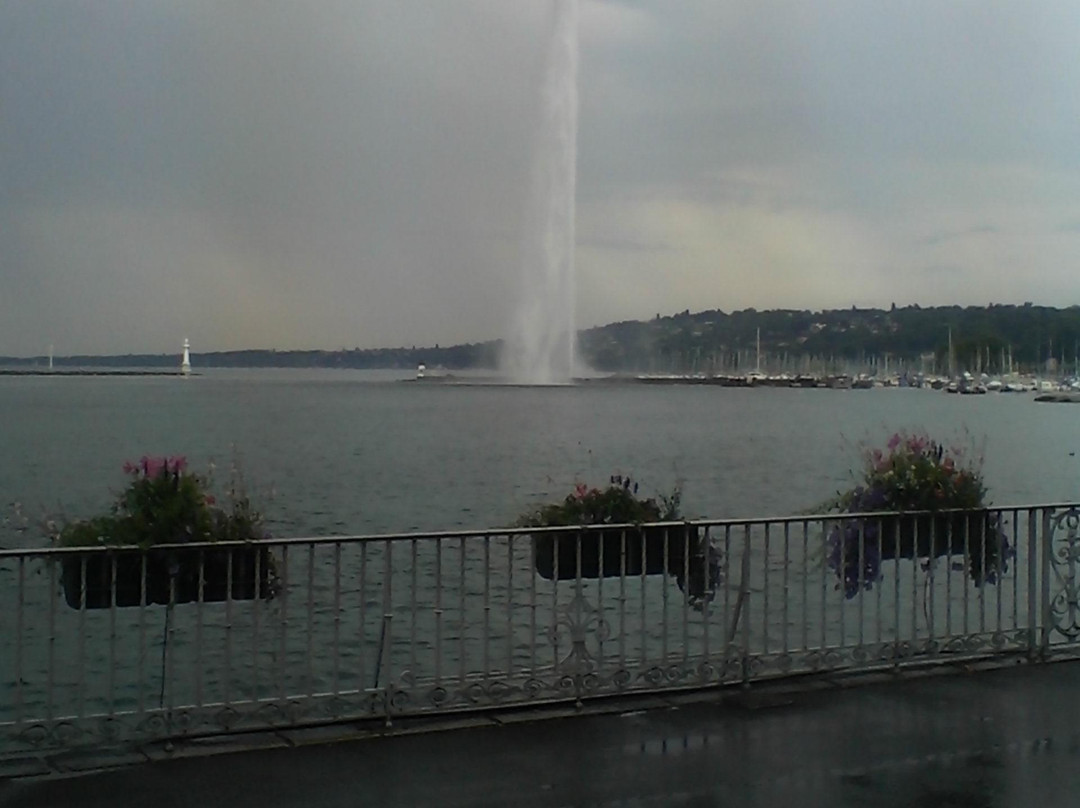 The Flower Clock-日内瓦必去景点
