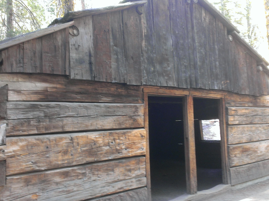 Grant Grove-红杉&国王峡谷国家公园必去景点