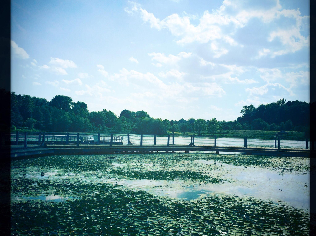 Lake Artemesia-科利奇帕克必去景点