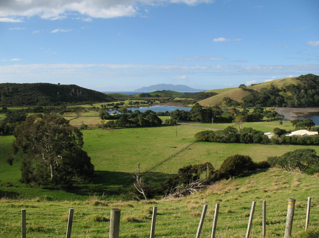 新西兰红酒升级之旅-奥克兰葡萄酒之旅-奥克兰中心地区必去景点