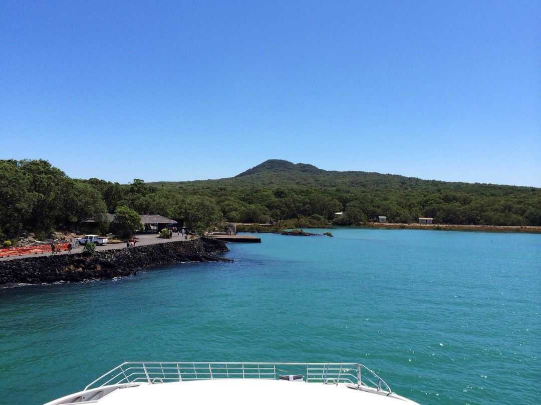 朗伊托托岛-奥克兰中心地区必去景点