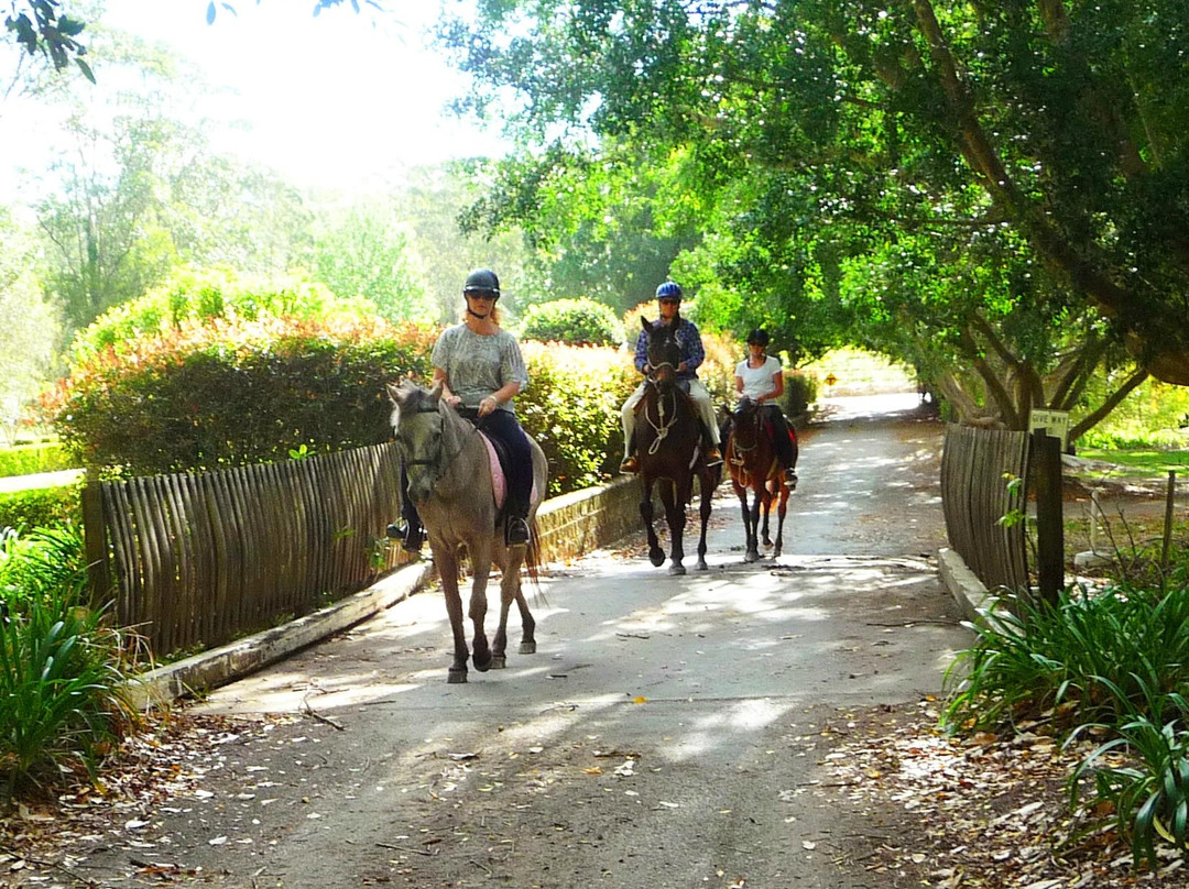 Port Macquarie Horse Riding Centre-麦克夸利港必去景点
