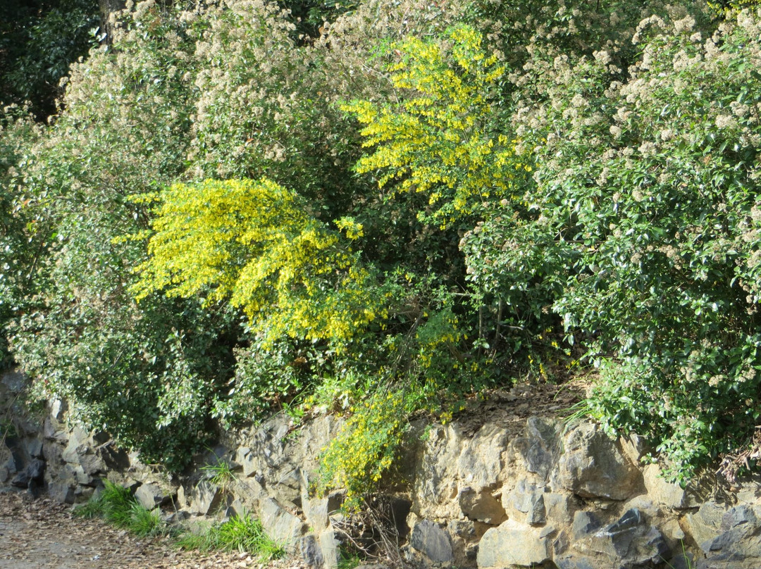 Villa Centurione Doria-热那亚必去景点