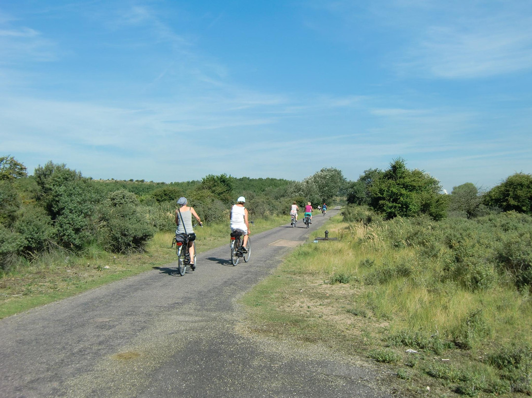 DuneBiking Bike Tours - Day Tours景点图片