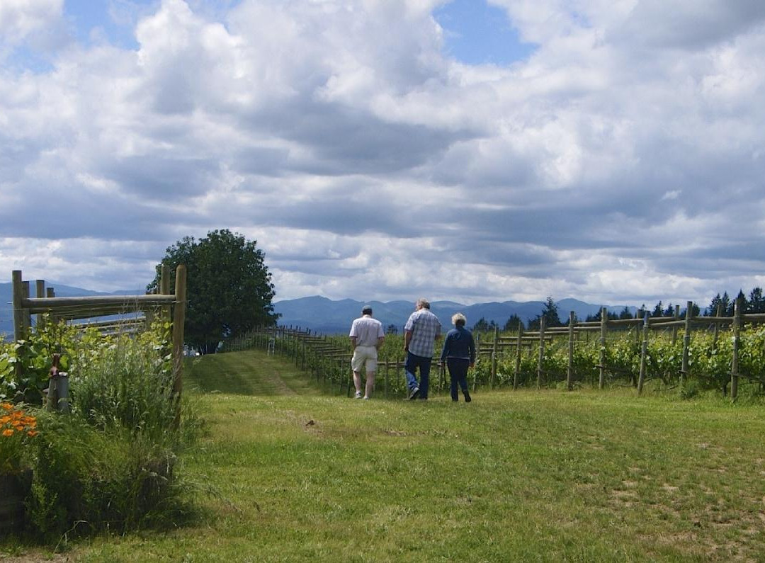Cellar Door Wine Tours-Lafayette必去景点