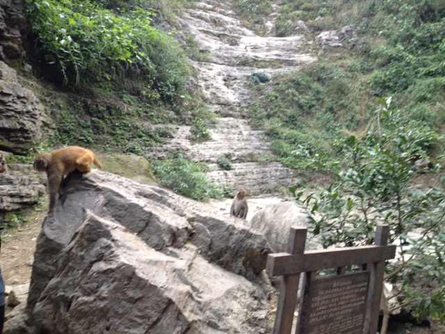 三峡人家风景区-宜昌市必去景点