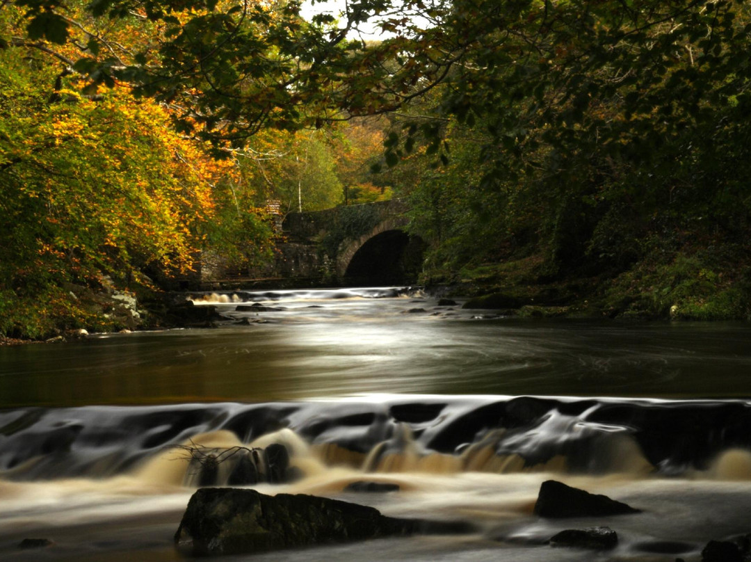Swan Park-Buncrana必去景点